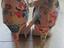 Immagine 3