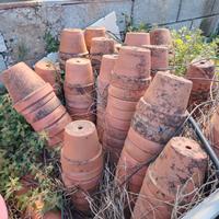 Vasi terra cotta