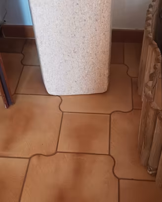 Conigli ariete