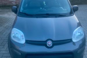 Fiat panda fire fly ibrida