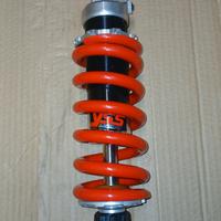 Monoammortizzatore YSS Honda cbr 1100 xx
