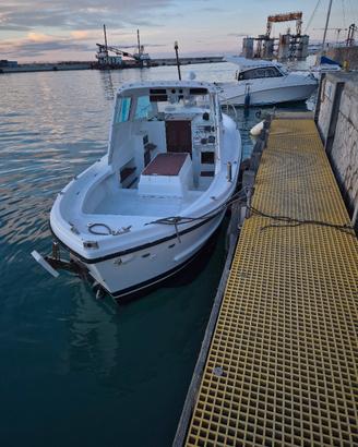 calafuria 7 iveco aifo