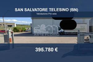 Immobile in asta di 1092 m² a San Salvatore Telesi