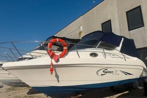 Saver 690 cabin con Johnson 200