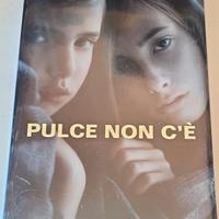 Pulce non c'è