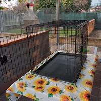 gabbia per cani