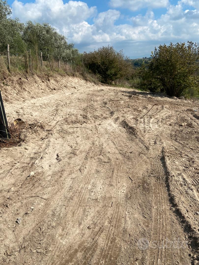 Terreno agricolo - Vista 4