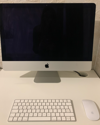 iMac 21.5 2015 1Tb