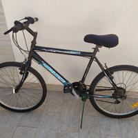 bicicletta 24''