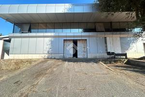 CAPANNONE A POMEZIA