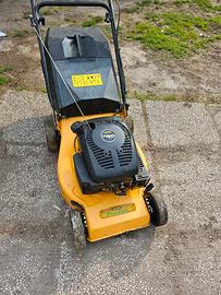 tagliaerba alpina 150cc