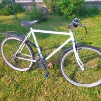 Bici da uomo