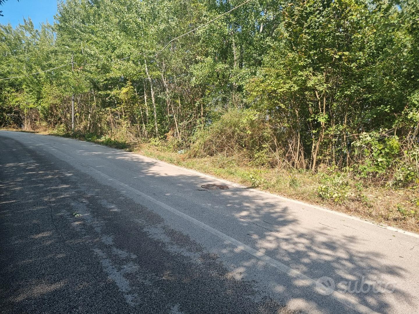 Terreno di mq. 25.000 con rudere di mq. 180 ca - Vista 2