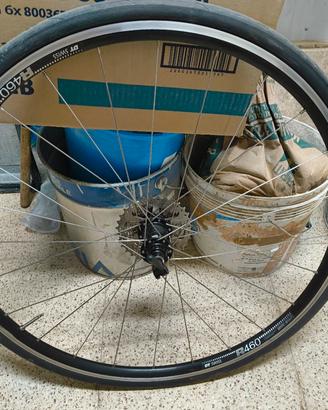 Ruote da corsa dt swiss r 460  v brake