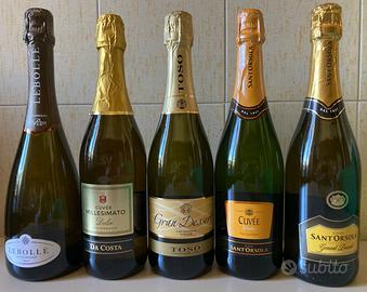 5 bottiglie vino spumante