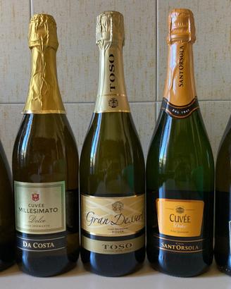 5 bottiglie vino spumante