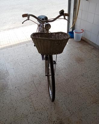 Bicicletta Vintage Regina 