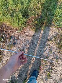 protezioni per colombi