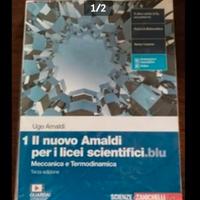 Il nuovo Amaldi per i licei scientifici 1