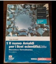 Il nuovo Amaldi per i licei scientifici 1