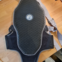 Protezione Forcefield schiena