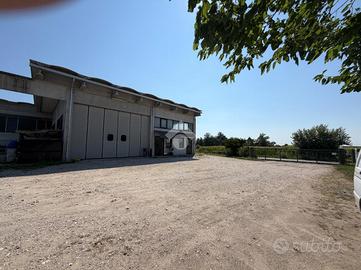 CAPANNONE A SAN ZENONE DEGLI EZZELINI
