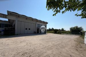 CAPANNONE A SAN ZENONE DEGLI EZZELINI