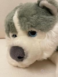 peluche Husky siberiano cucciolo, come nuovo 