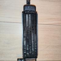 radiatore Phantom F12 