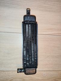 radiatore Phantom F12 