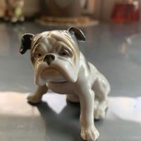 METZLER & ORTLOFF – Bulldog inglese (1910)