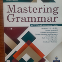 Mastering Grammar