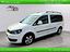 Immagine 3