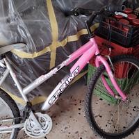 Bici da corsa Mountain bike 