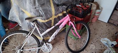 Bici da corsa Mountain bike 