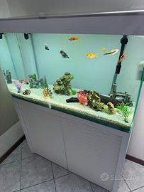 acquario askol