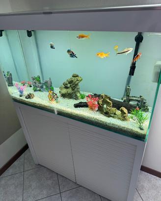acquario askol