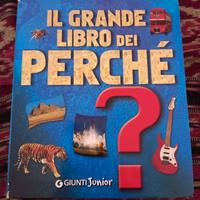 il grande libro dei perché 