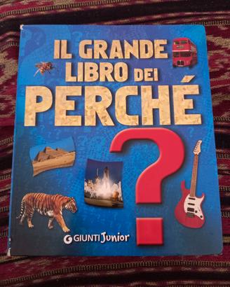 il grande libro dei perché 