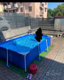 Piscina intex