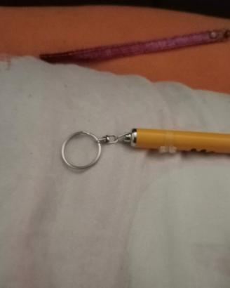 Laser per gatti e cani