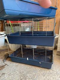 Gabbie coniglio-cavie