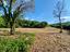 Immagine 10
