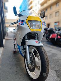 suzuki rgv gamma 250 vj21 pepsi vera!!