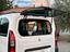 Immagine 26