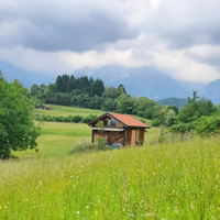 Terreno agricolo con rustico
