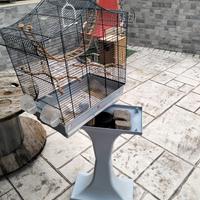 Gabbie per uccelli e coniglietto