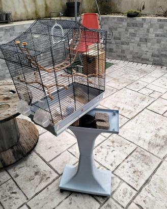 Gabbie per uccelli e coniglietto