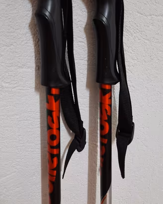 Bastoni da sci (alpino)