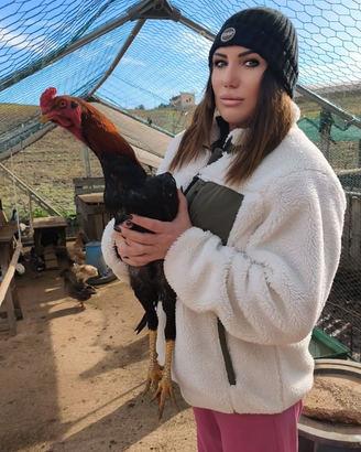 Gallo